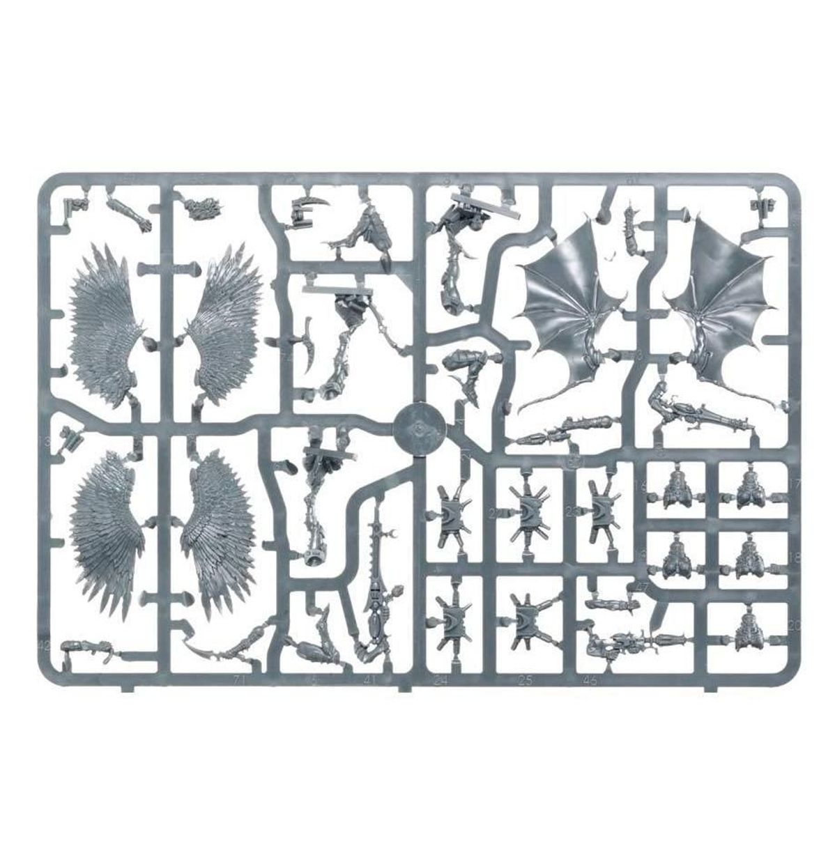 Warhammer 40,000 Dark Eldar: Drukhari Scourges 45-16