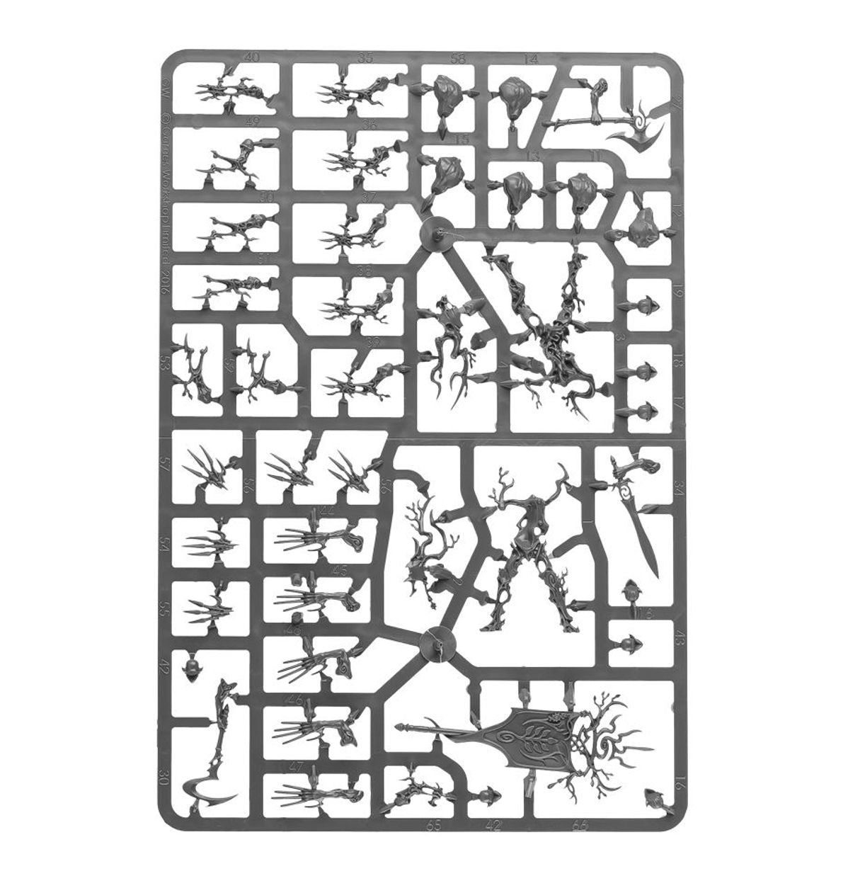 Warhammer Age Of Sigmar Sylvaneth: Tree-Revenants 92-14