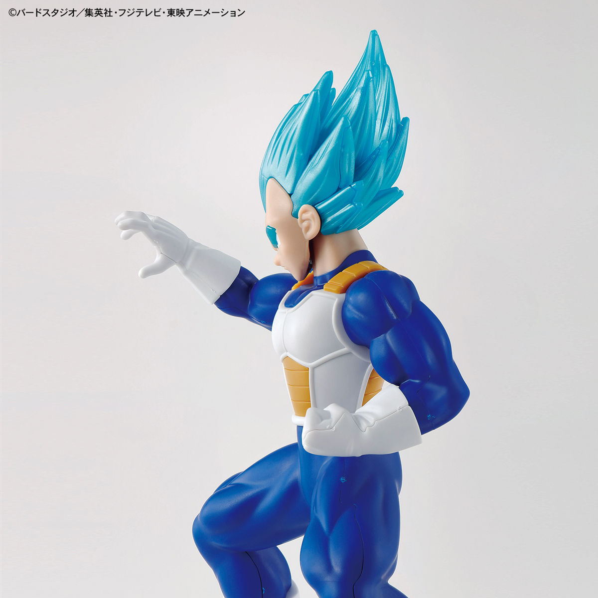 Bandai EG Entry Grade Super Saiyan God Super Saiyan Vegeta