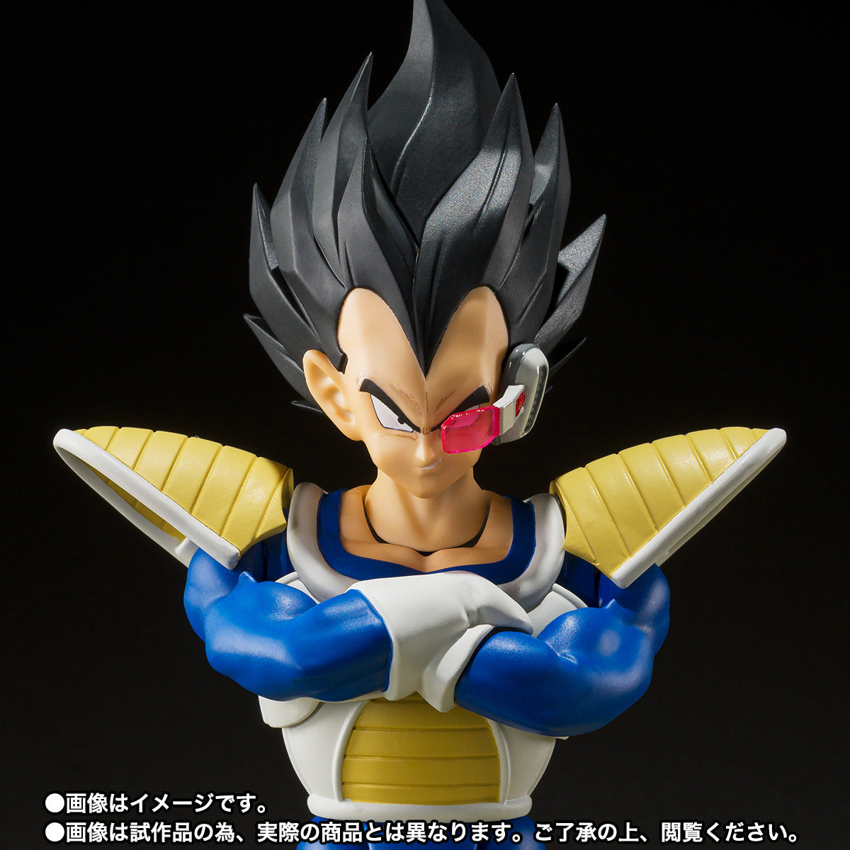 Bandai Tamashii Nations S.H. Figuarts Dragon Ball Vegeta (24000 Power Level)