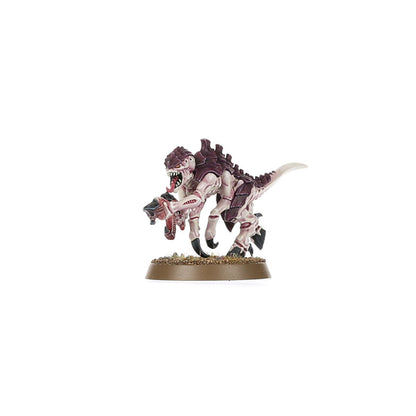 Warhammer 40,000: Introductory Set 40-04