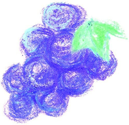 Aozora Dot Fruit Multi-Color Crayon Stick - Set of 6 Aozora 14.98 OEShop