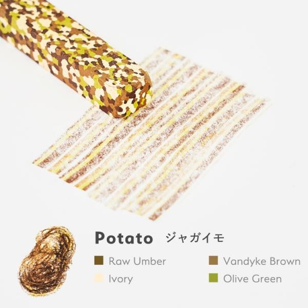 Aozora Dot Vegetable Multi-Color Crayon Stick - Set of 6 Aozora 14.98 OEShop