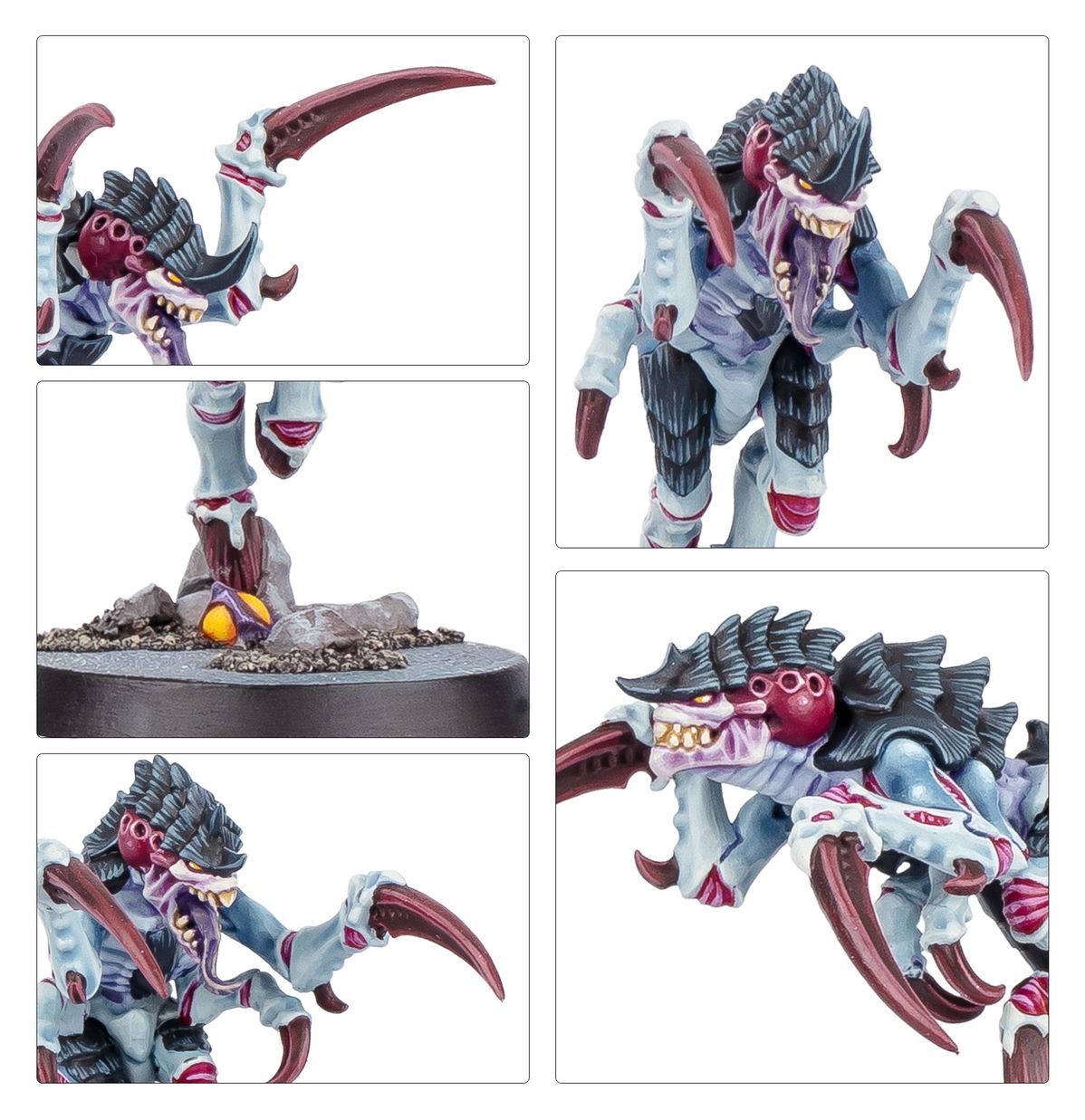 Warhammer 40,000 Kill Team: Typhon 103-88