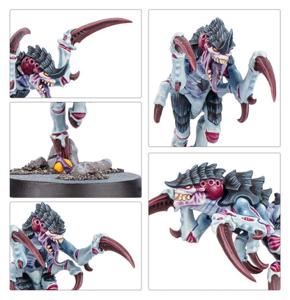 Warhammer 40,000 Kill Team: Typhon 103-88
