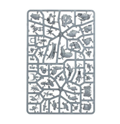 Warhammer Age Of Sigmar Slaves to Darkness: Daemon Prince 83-64