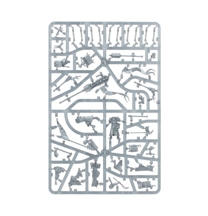 Warhammer Age Of Sigmar Cities of Sigmar: Freeguild Fusiliers 86-19