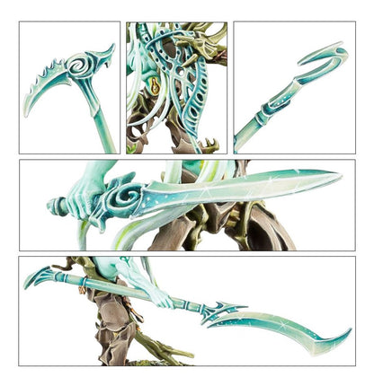 Warhammer Age Of Sigmar Sylvaneth: Tree-Revenants 92-14