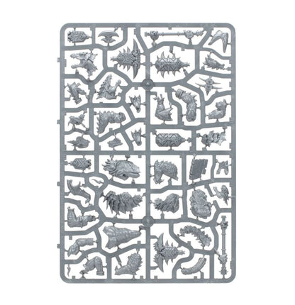 Warhammer Age Of Sigmar Spearhead: Seraphon 70-881