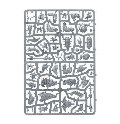 Warhammer Age Of Sigmar Spearhead: Seraphon 70-881