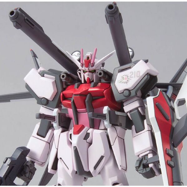 1/144 HGGS 01 Strike Rouge + IWSP