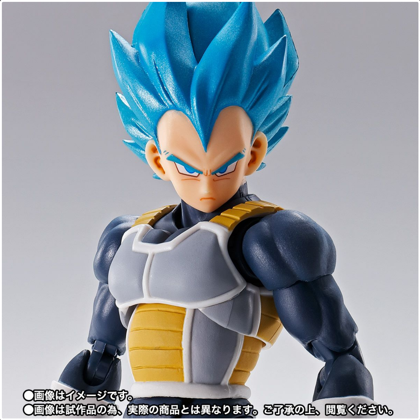 Bandai Tamashii Nations S.H. Figuarts Dragon Ball Super Saiyan God Super Saiyan Vegeta (15th Anniversary Ver.)