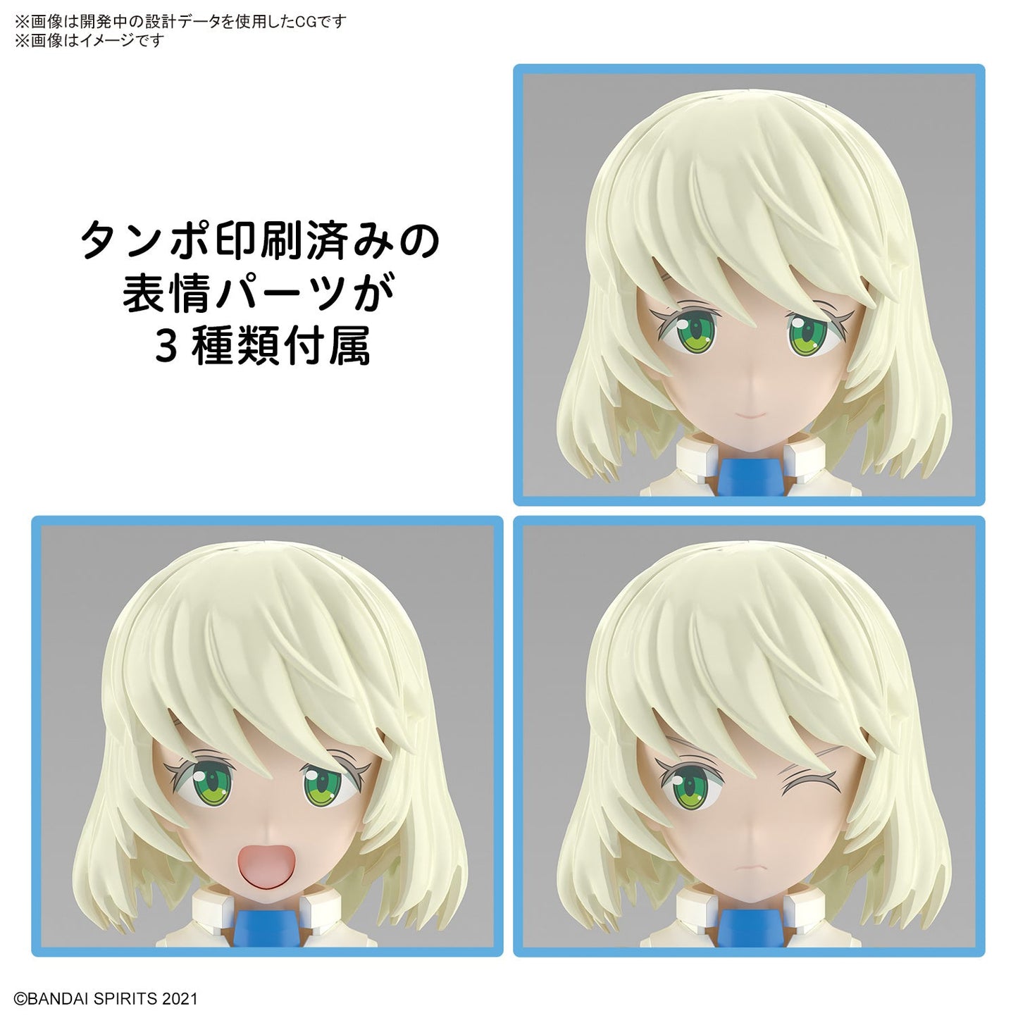 30MS 12 SIS-Dc88w Elliene Eri-Erika (Elegant Form)