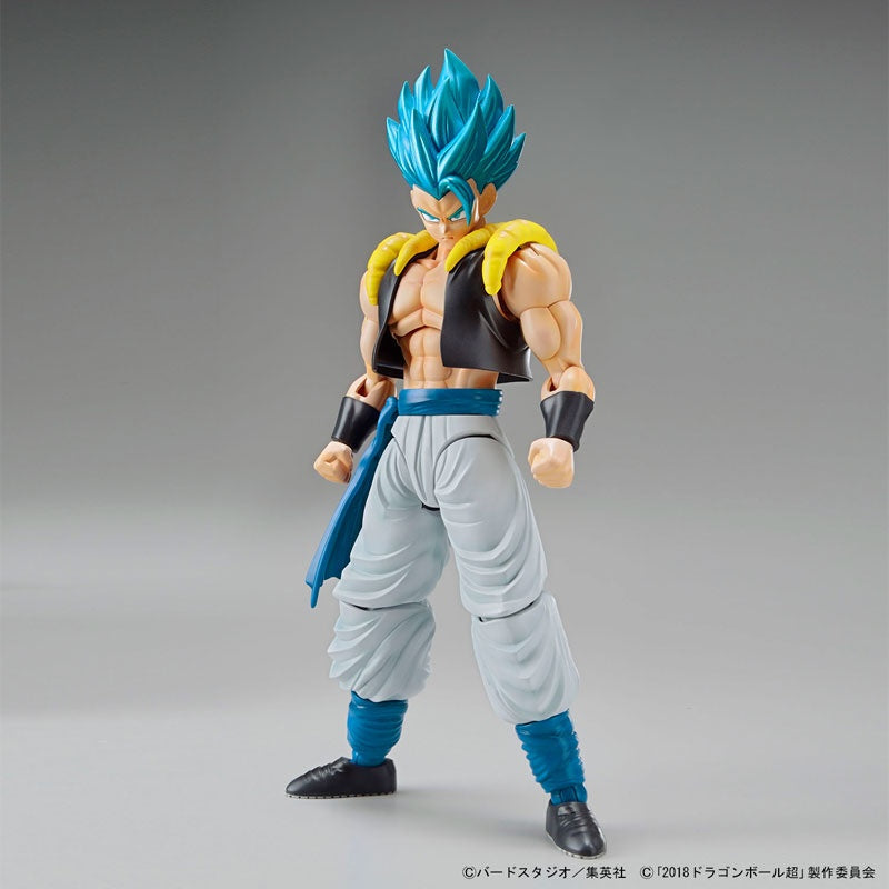 Bandai Figure Rise Standard Dragon Ball Super Super Saiyan God Super Saiyan Gogeta