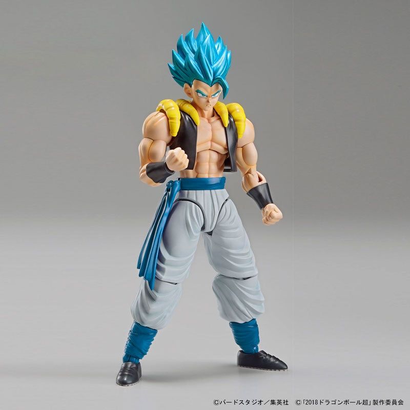 Bandai Figure Rise Standard Dragon Ball Super Super Saiyan God Super Saiyan Gogeta