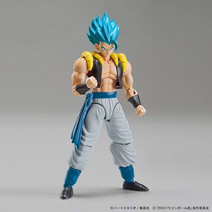 Bandai Figure Rise Standard Dragon Ball Super Super Saiyan God Super Saiyan Gogeta