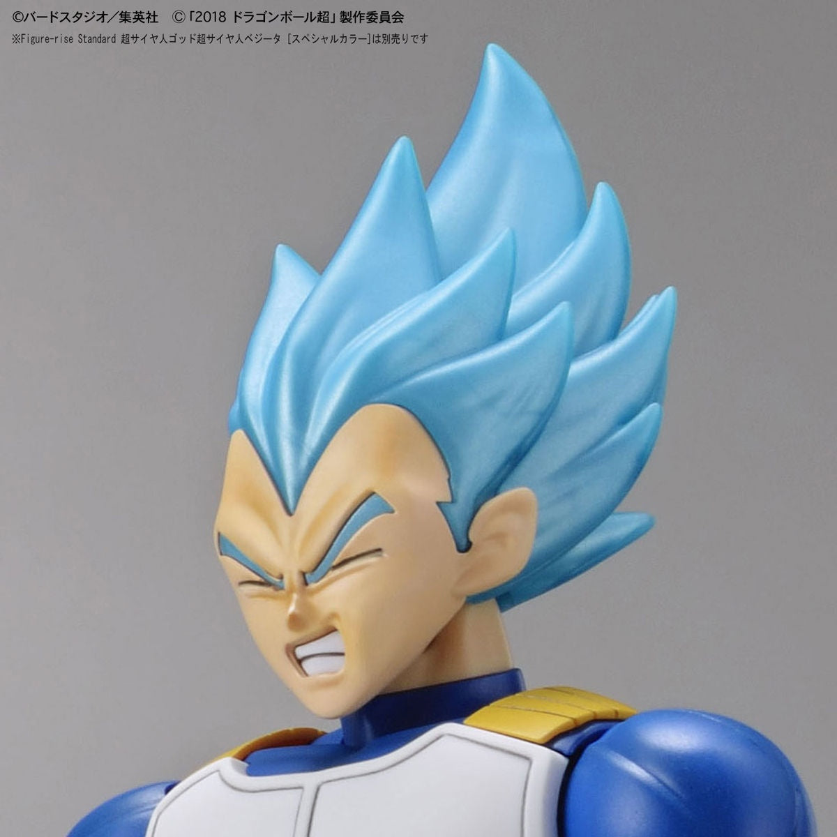 Bandai Figure Rise Standard Dragon Ball Super Super Sayian Broly Full Power