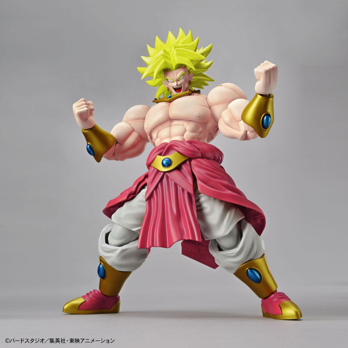 Bandai Figure Rise Standard Dragon Ball Z Legendary Super Saiyan Broly (Renewal)
