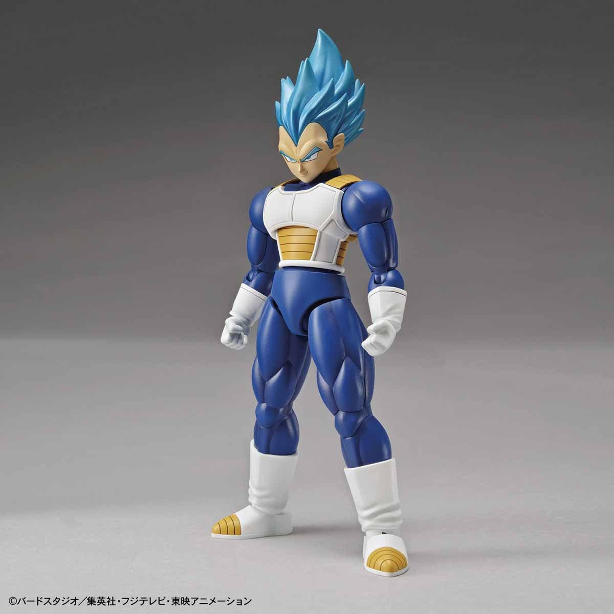 Bandai Figure Rise Standard Dragon Ball Super Super Saiyan God Super Saiyan Vegeta (Renewal Ver.)