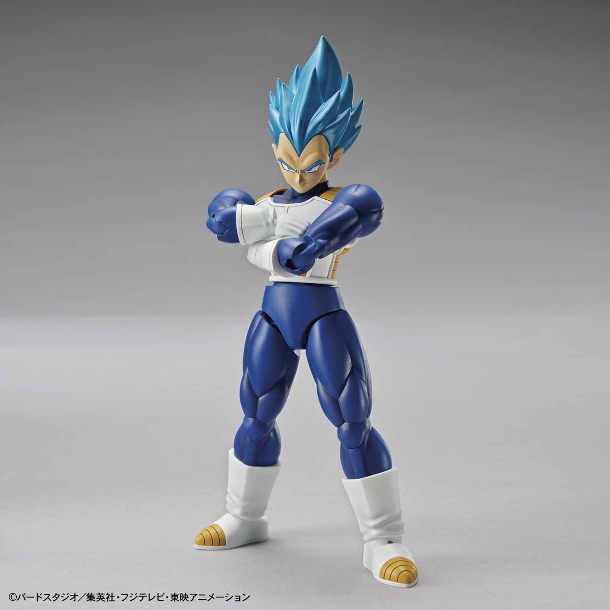 Bandai Figure Rise Standard Dragon Ball Super Super Saiyan God Super Saiyan Vegeta (Renewal Ver.)