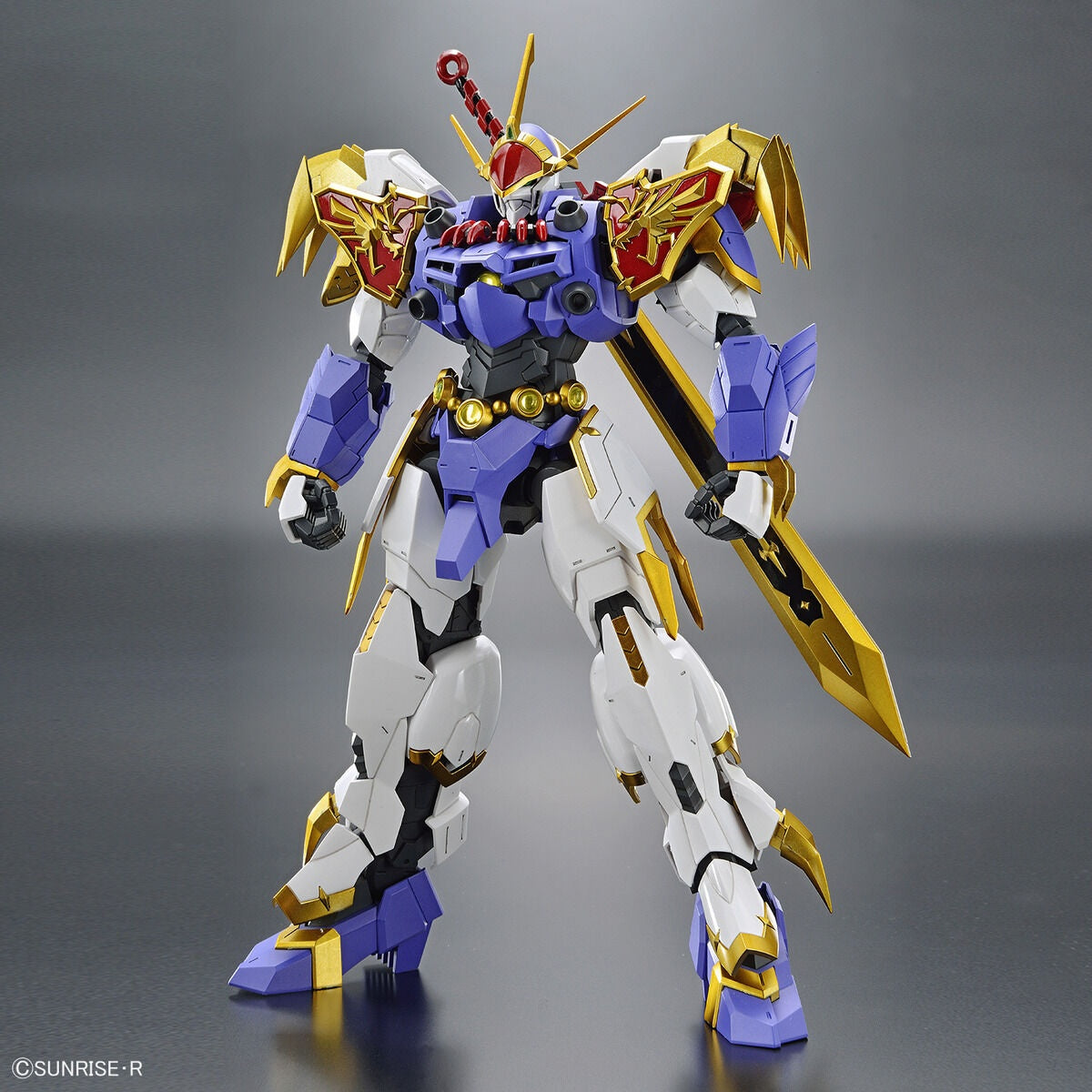 HG Amplified IMGN Ryujinmaru Bandai Namco