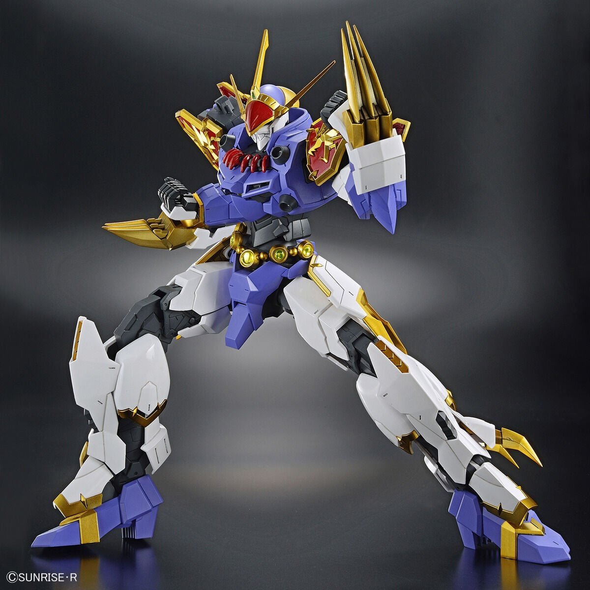 HG Amplified IMGN Ryujinmaru Bandai Namco