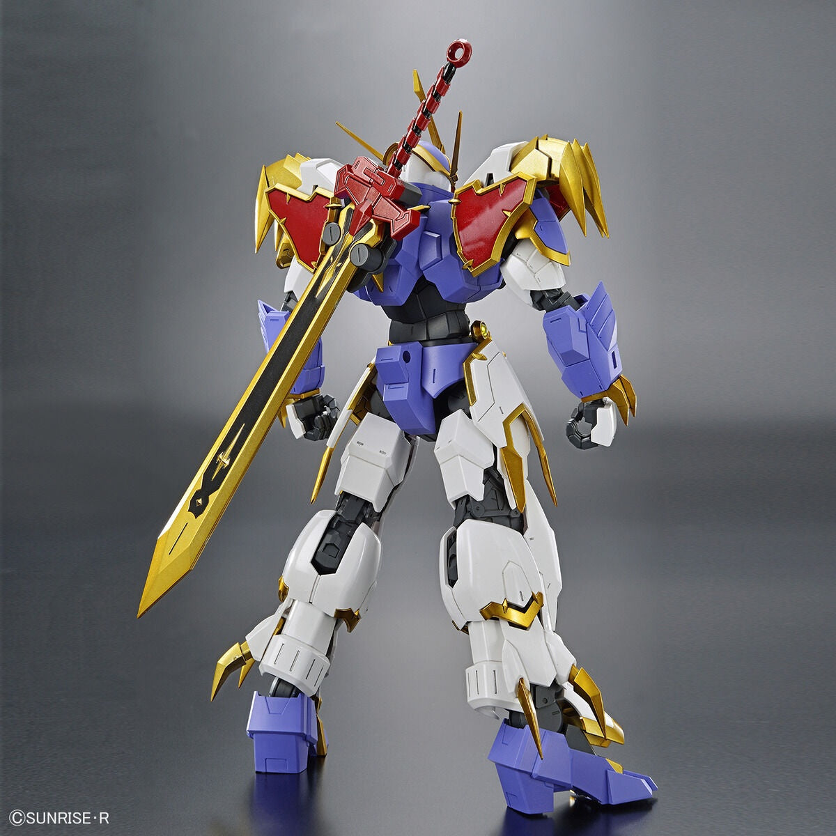 HG Amplified IMGN Ryujinmaru Bandai Namco