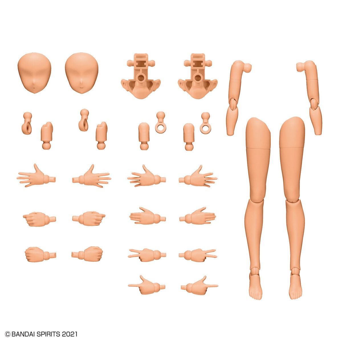 30MS Option Body Parts OB-11 Arm Parts & Leg Parts [Color C]
