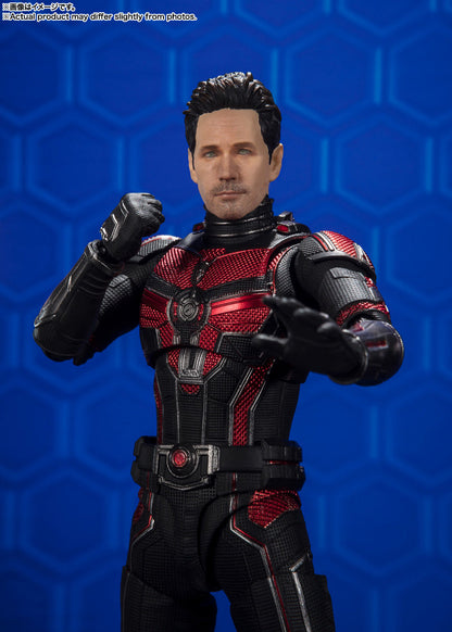 Bandai Tamashii Marvel Avengers Ant-Man/Wasp Quantumania SHF Action Figure