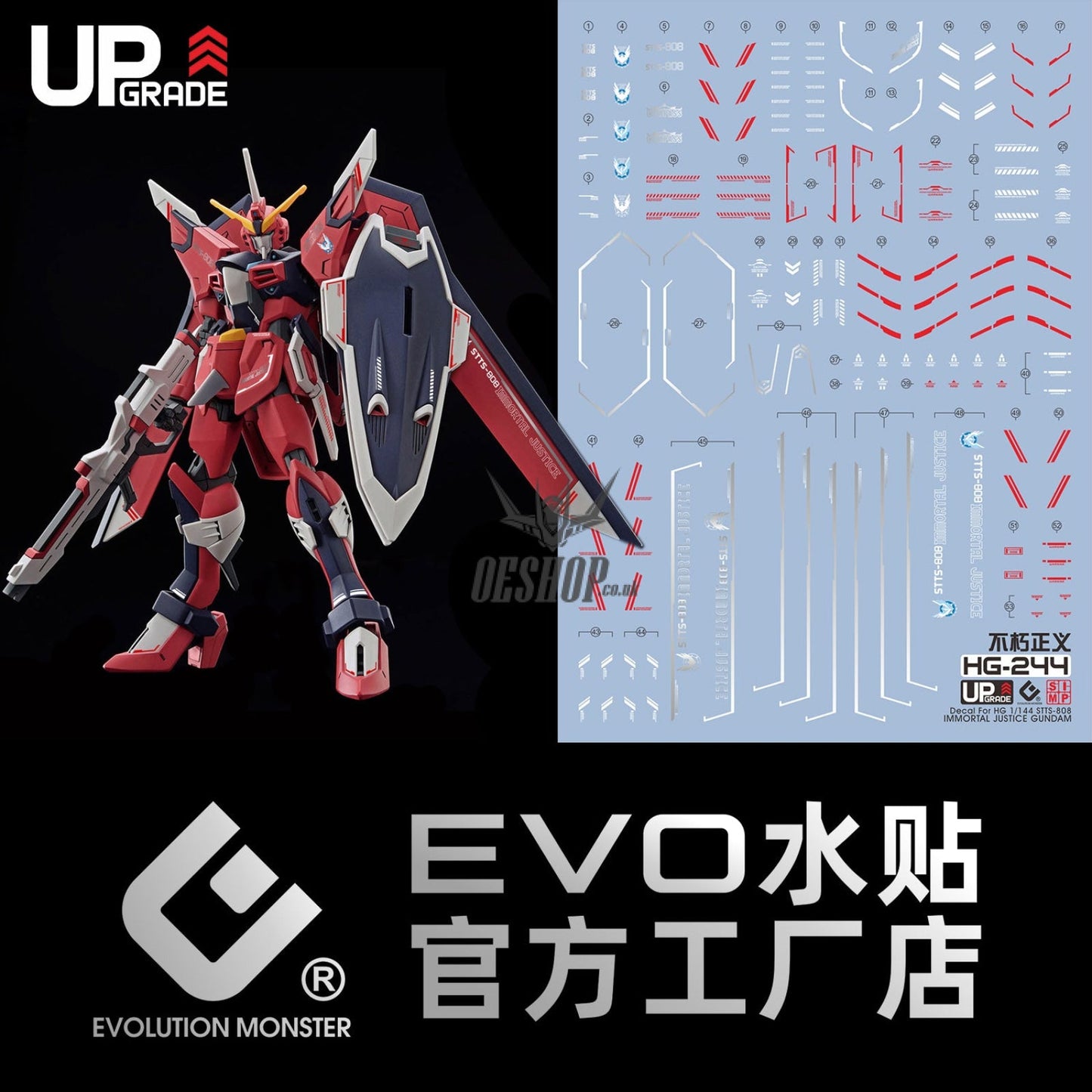 EVO - E-HG244 (UV) HG Immortal Justice Gundam Evolution Studio Decal Decals